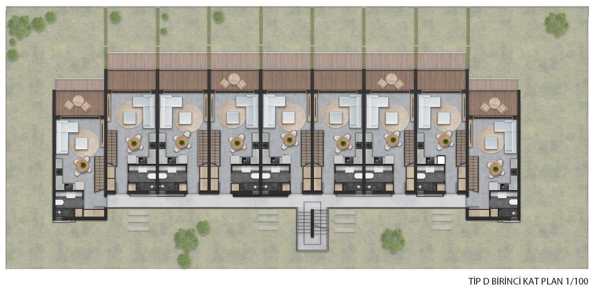 Type-D (Penthouse)